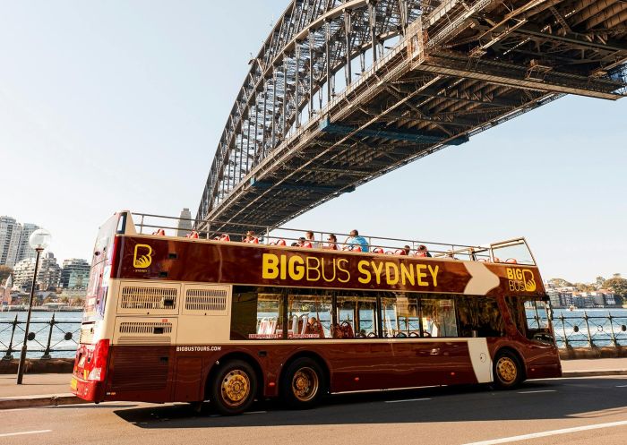 悉尼海港大桥下的巴士，Big Bus 悉尼，环形码头- 图片来源：James Horan | Big Bus Tours
