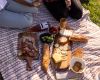 Amazing Co’s Mystery Picnic