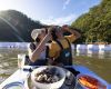 Sydney Oyster Farm Tour