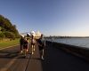 Fit City Tours Sydney