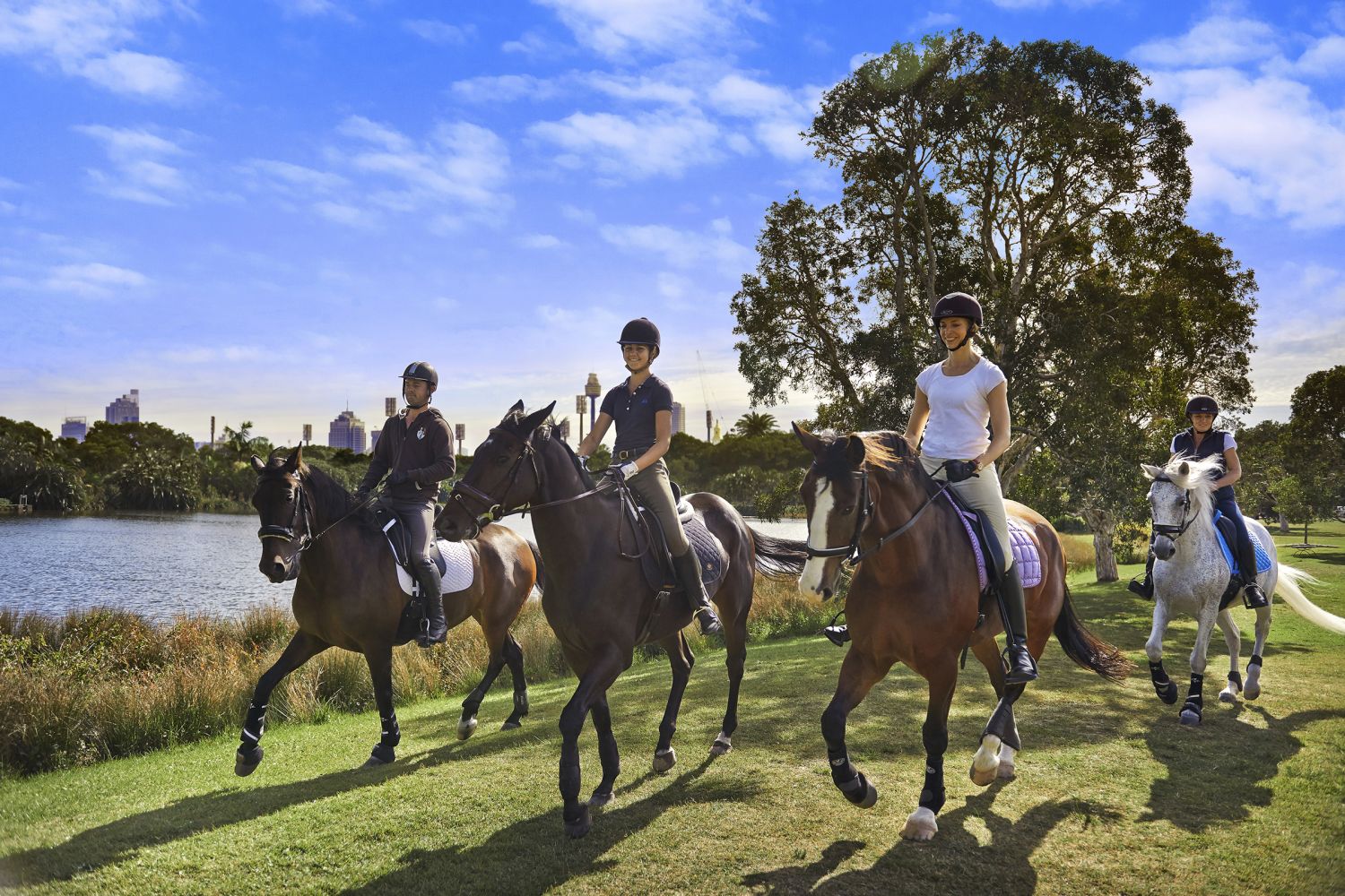 Horse Riding in Sydney Horseback Riding & Trail Riding