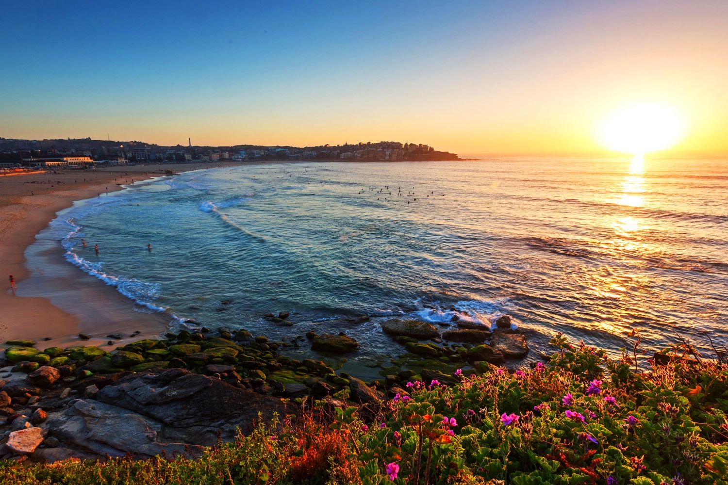Bondi Beach, Sydney How To Reach, Best Time & Tips