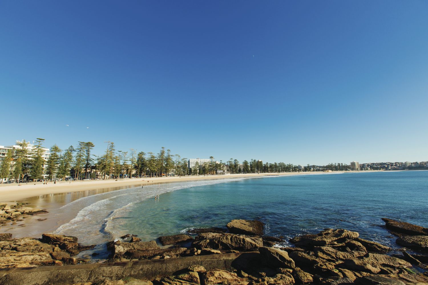 Manly Beach Surfing, Fishing & Swimming Official
