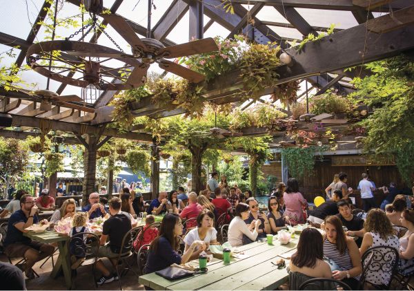 亞歷山大院, 亞歷山大 人們在亞歷山大的亞歷山大庭院餐廳用餐