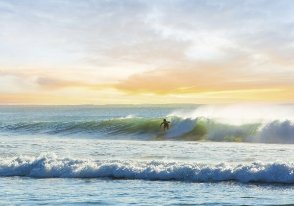 Surfer riding a wave at Manly Beach, Sydney
