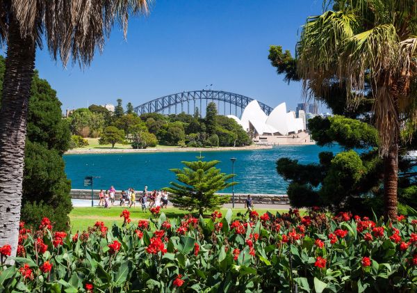 flowers in bloom at the Royal Botanic Gardens