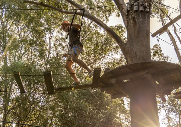 Tree Tops Adventure Park - Abbotsbury - Western Sydney