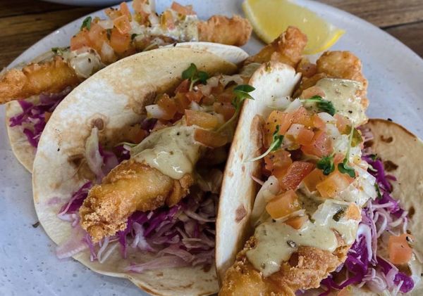 The Usual Cafe - Fish Tacos