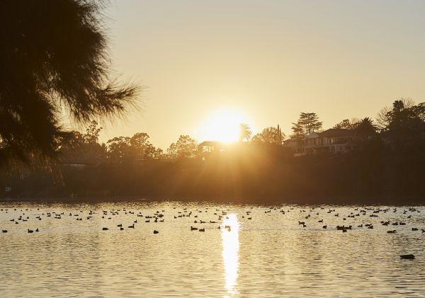 Nepean River - Great River Walk - Penrith