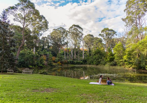 Picnic in Wildwood Garden - Bilpin