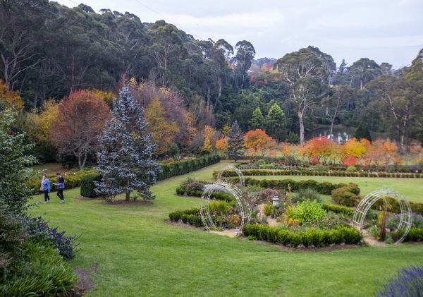 Lush greenery in Wildwood Garden - Bilpin