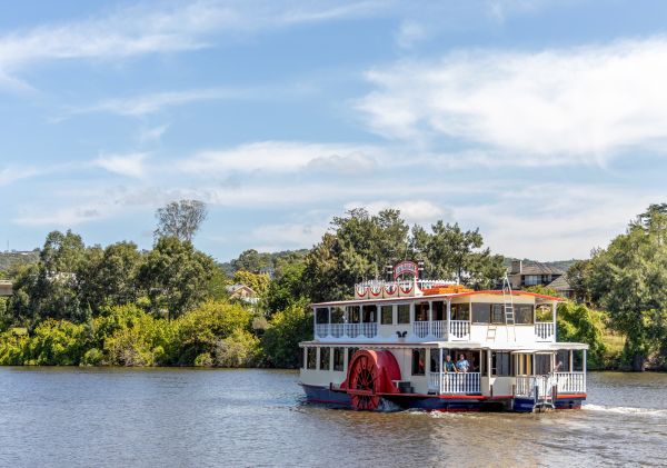 Nepean Belle Paddlewheeler sailing along the Nepean River - Jamisontown - Sydney West