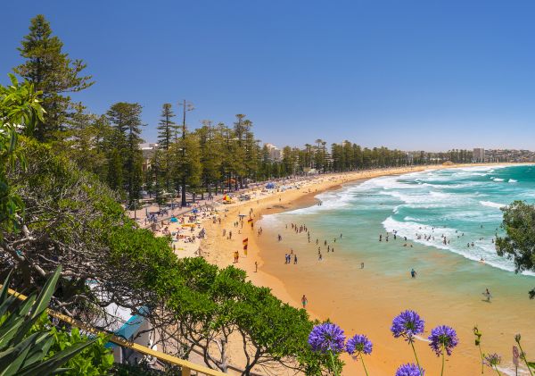 Crowds enjoying a Summer's day at Manly Beach, Manly