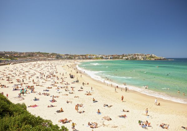 Bondi Beach in Summer