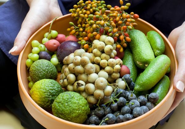 Aboriginal Bush Tucker Lunch experience at The Royal Botanic Garden, Sydney City