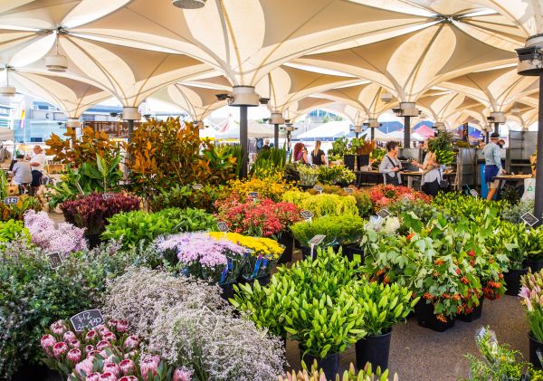Cambridge Markets EQ, Moore Park Flower stall at Cambridge Markets EQ, Moore Park
