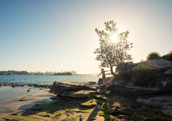 Frau geht über Felsen und hält sich an einem Baum fest, Milk Beach, Vaucluse