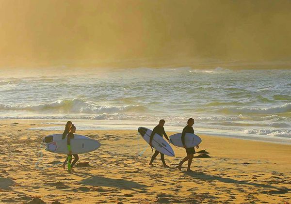 Three surfers walking into the water, Cronulla Surfing Academy Intermediate Surfing - - Credit: Scott Kitchener | Cronulla Surfing Academy