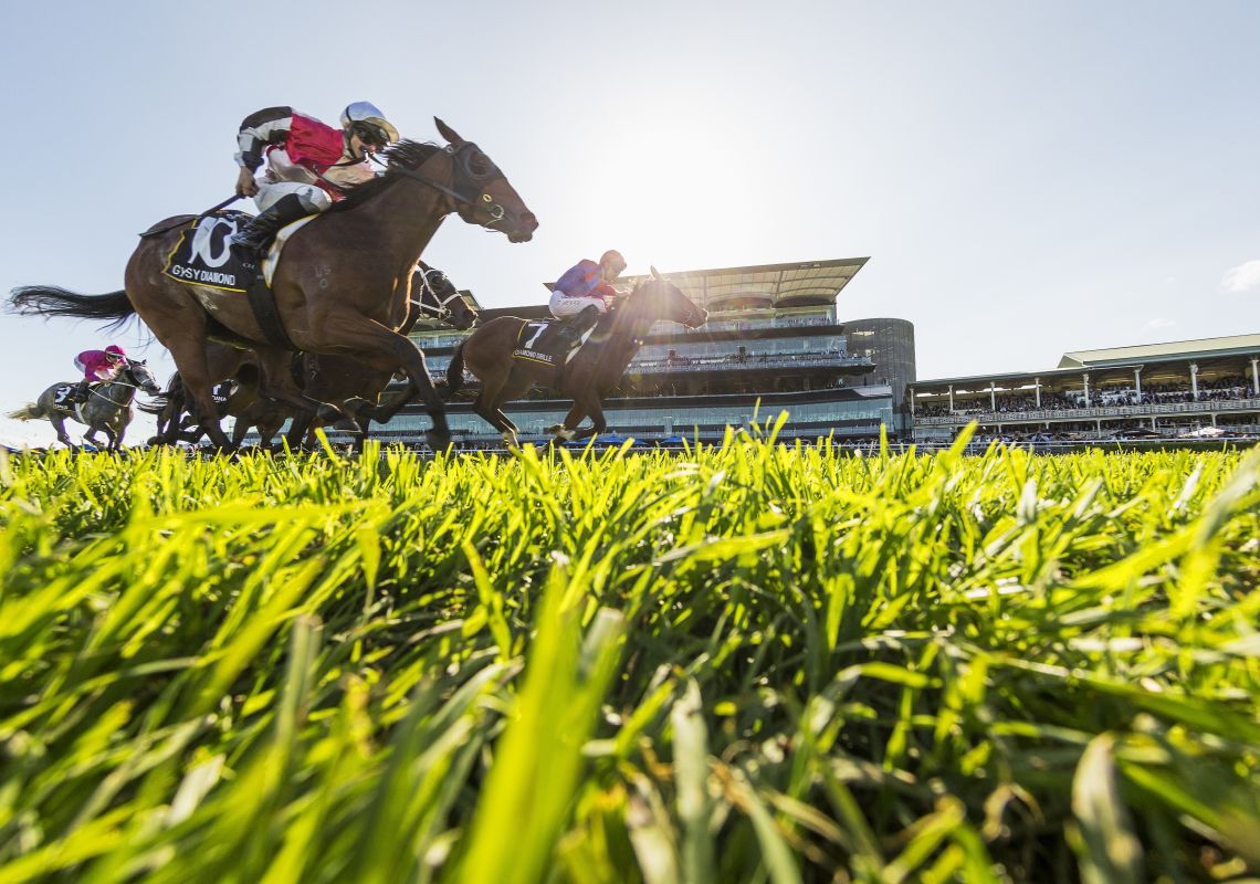 The Championship Races, Royal Randwick The Championship Races, Royal Randwick