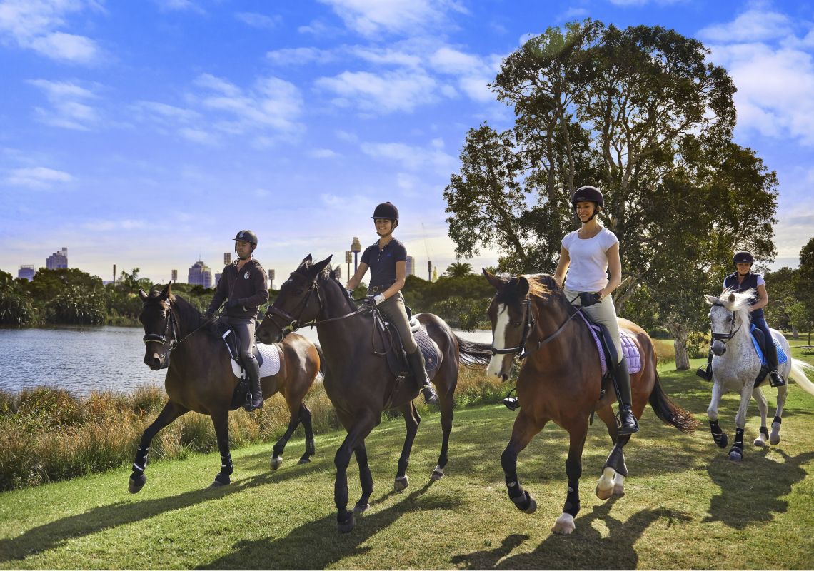 Horse riding in Centennial Park in Sydney Horse riding in Centennial Park, Sydney