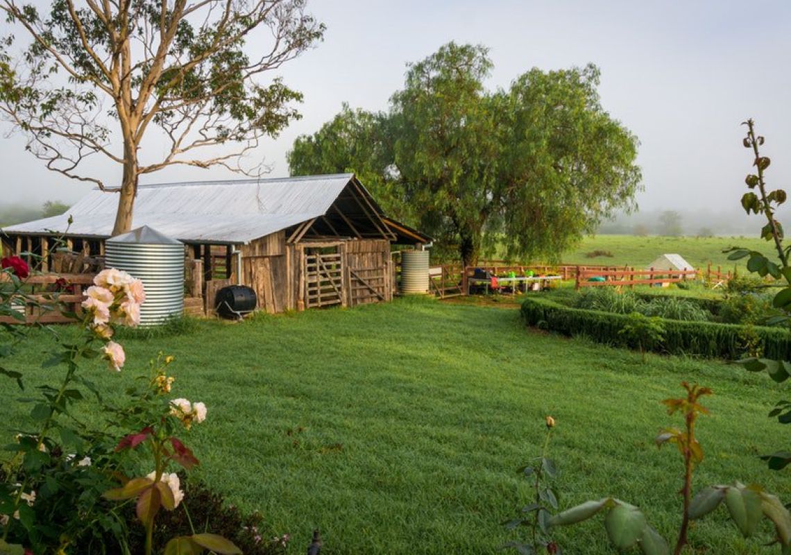 Camden Town Farm