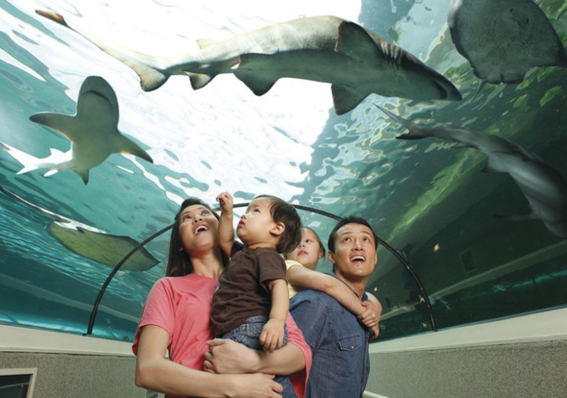 Family-Friendly Attractions