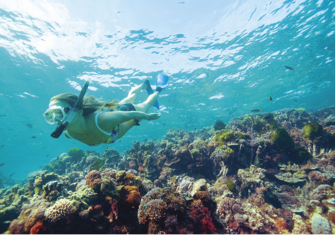 Woman snorkelling off Lord Howe Island Snorkelling, Lord Howe Island