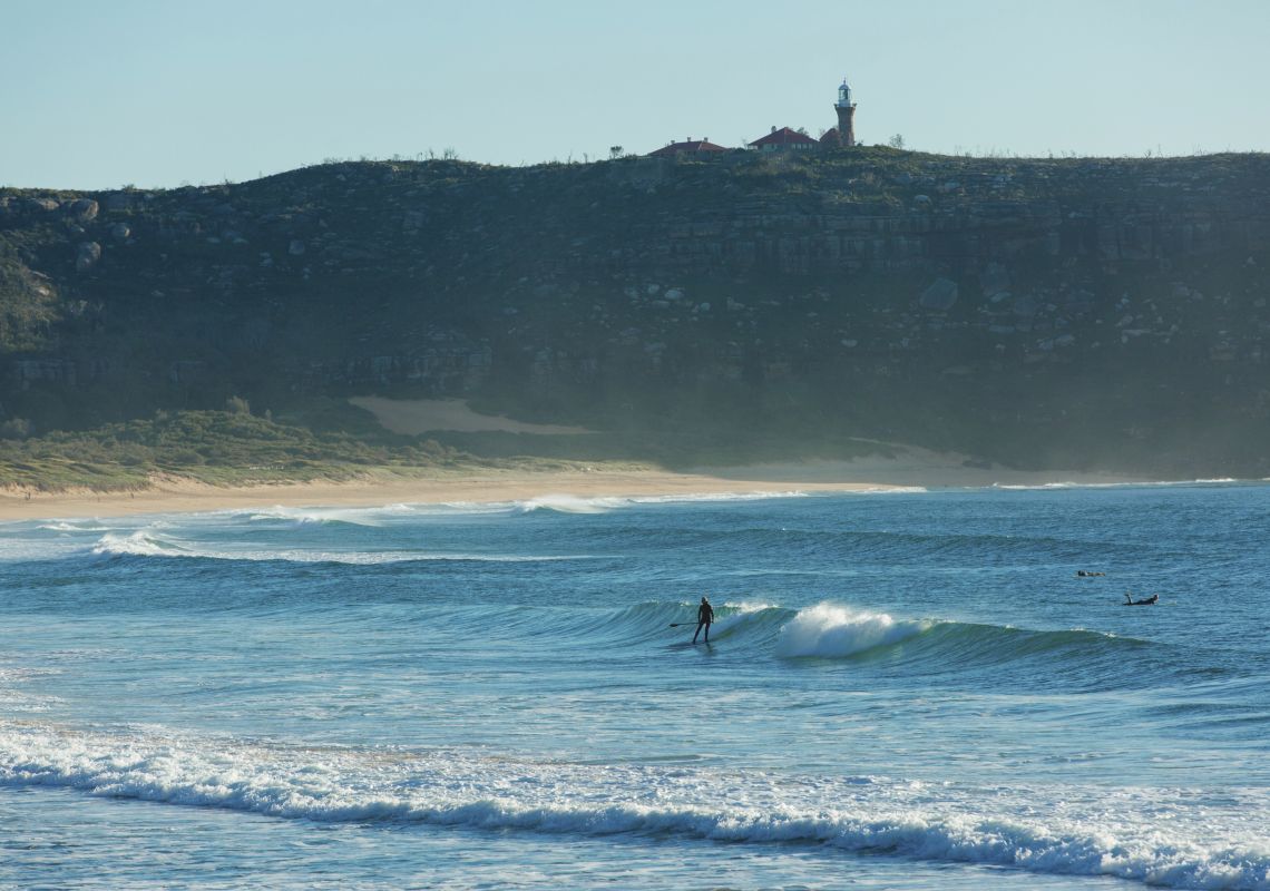 Stand up paddeboarder catches a morning wave at Palm Beach Surfing, Palm Beach