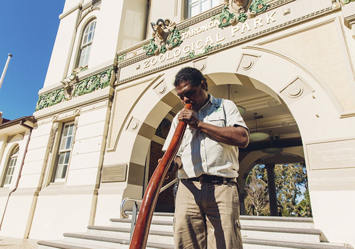 Nura Diya Aboriginal Discovery Tour guide playing the digeridoo outside the main entrance of Taronga ZooZoo Nura Diya Aboriginal Discovery Tour, Taronga Zoo
