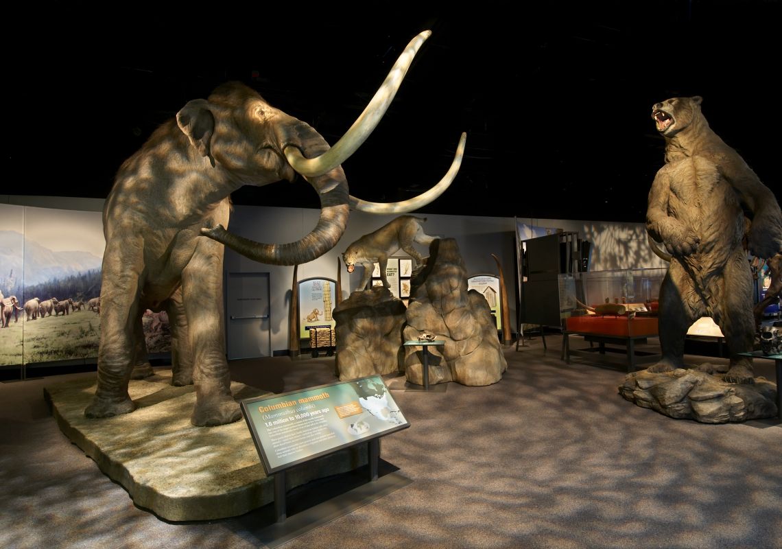 Giants of the Ice Age Exhibition, Australian Museum Mammoths at the Giants of the Ice Age Exhibition at the Australian Museum