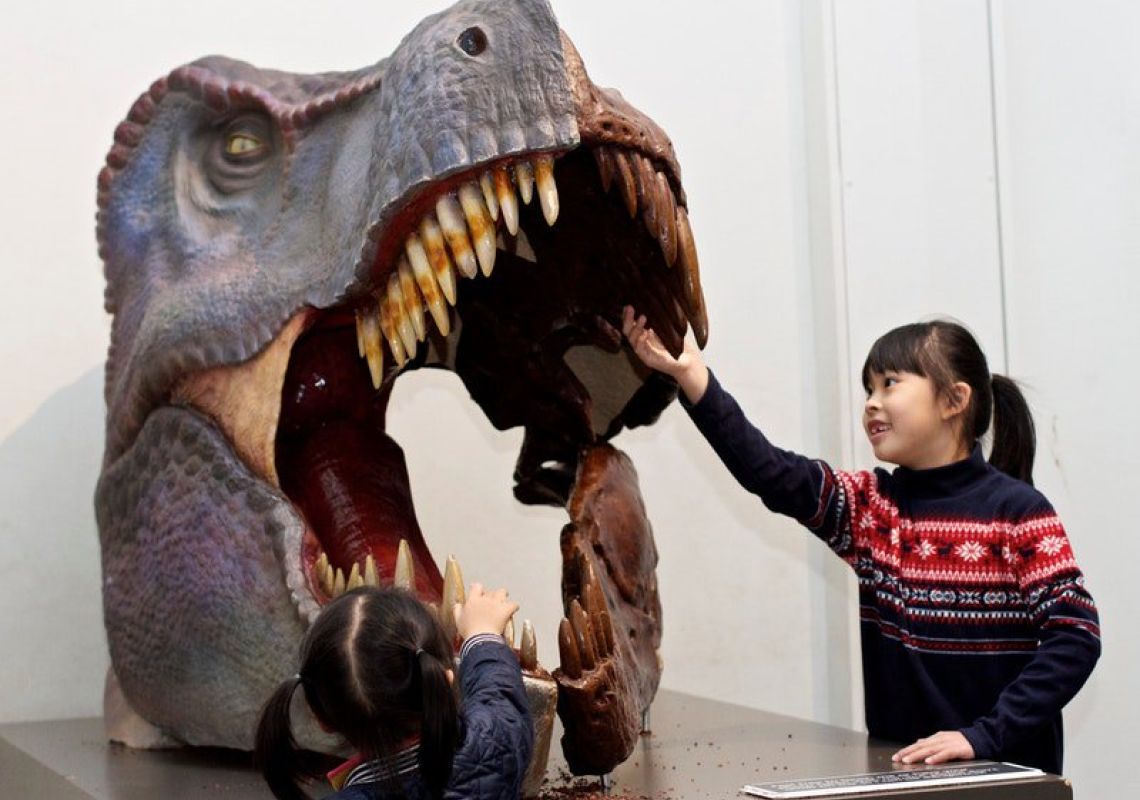 Australian Museum, Sydney Girls running their hands over the teeth of a Tyrannosaurus Rex skull, Australian Museum