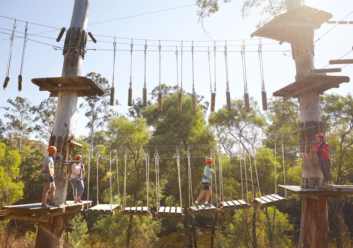 Wake Up With Adventure - Treetops Wake Up With Adventure - Treetops