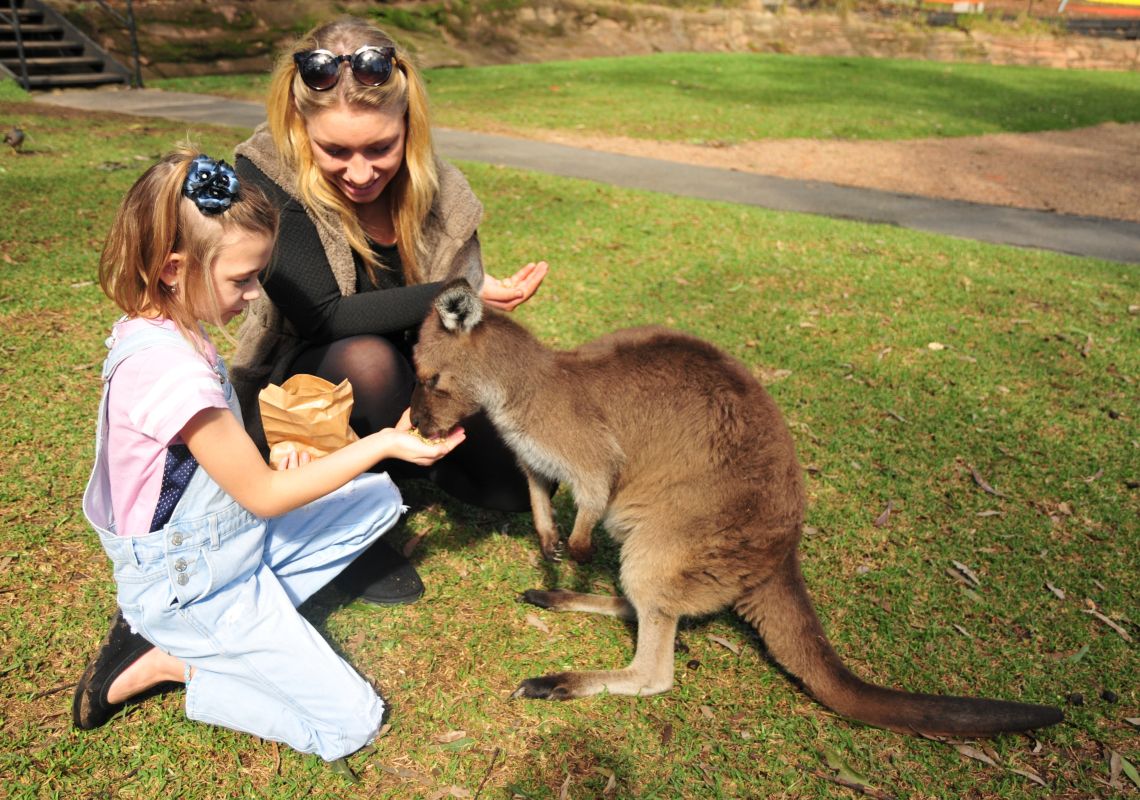 Una figlia e sua madre alimentazione canguro a Australian Reptile Park