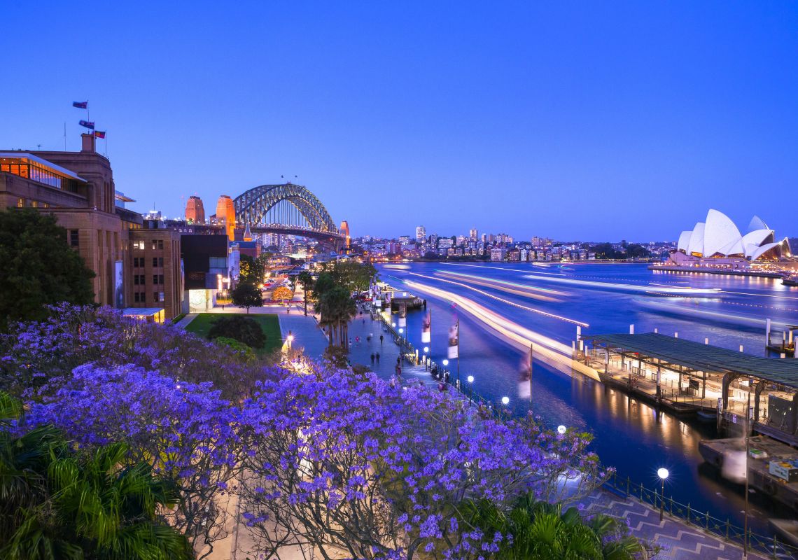 sydney harbour jacaranda cruise