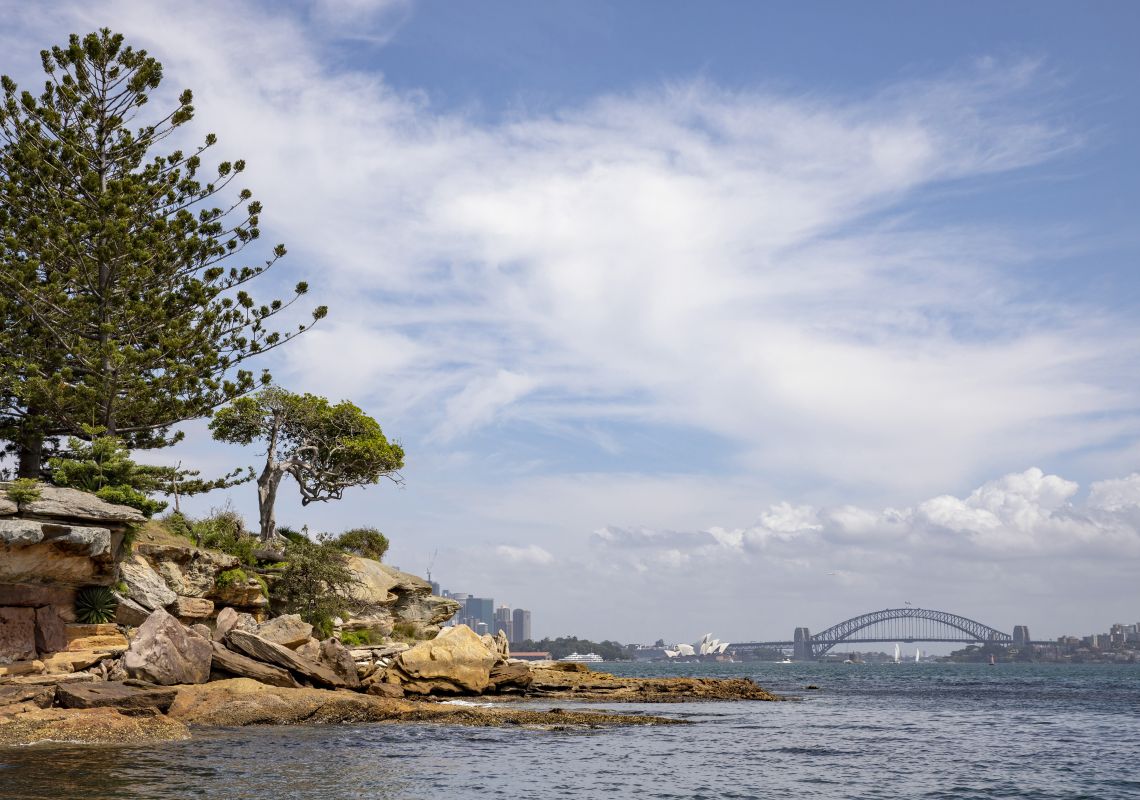 Sailing, Rose Bay View across Sydney Harbour from Rose Bay, Sydney East