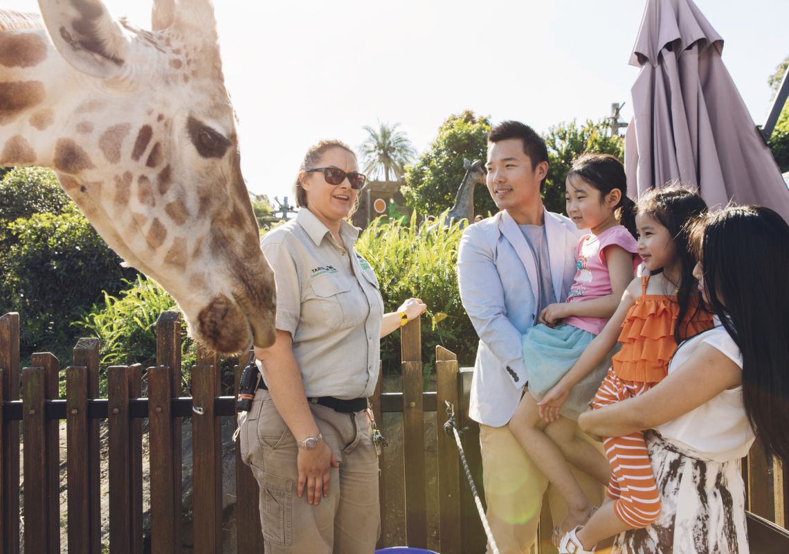 Family enjoying an encounter with a giraffe during the giraffe keeper talk at Taronga Zoo, Sydney North