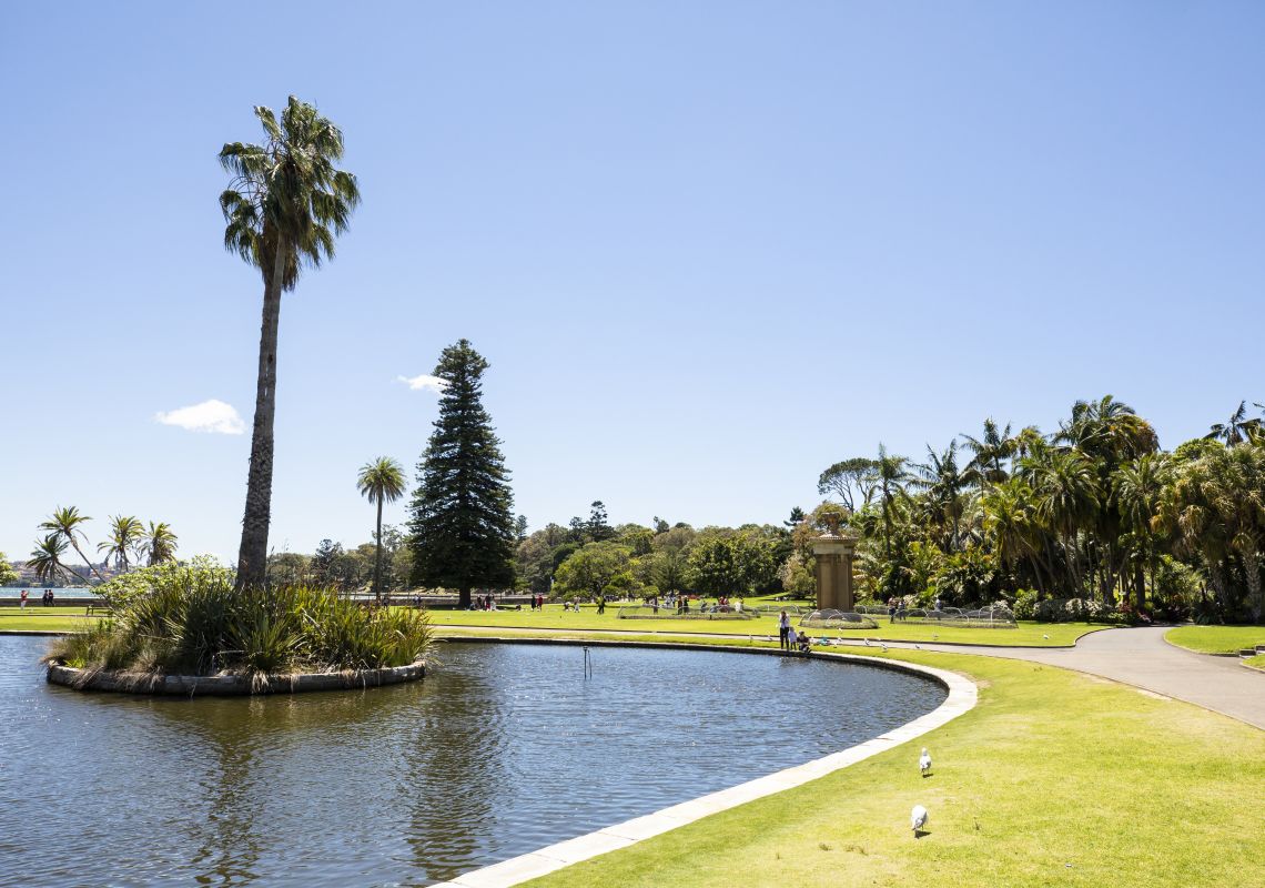 The Royal Botanic Garden Sydney, Sydney City The Main Pond inside the Royal Botanic Garden Sydney in Sydney City