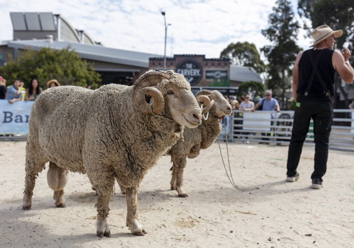Sydney Royal Easter Show 2019, Sydney Farmyard demostration at the 2019 Sydney Royal Easter Show, Sydney Showground at Sydney Olympic Park