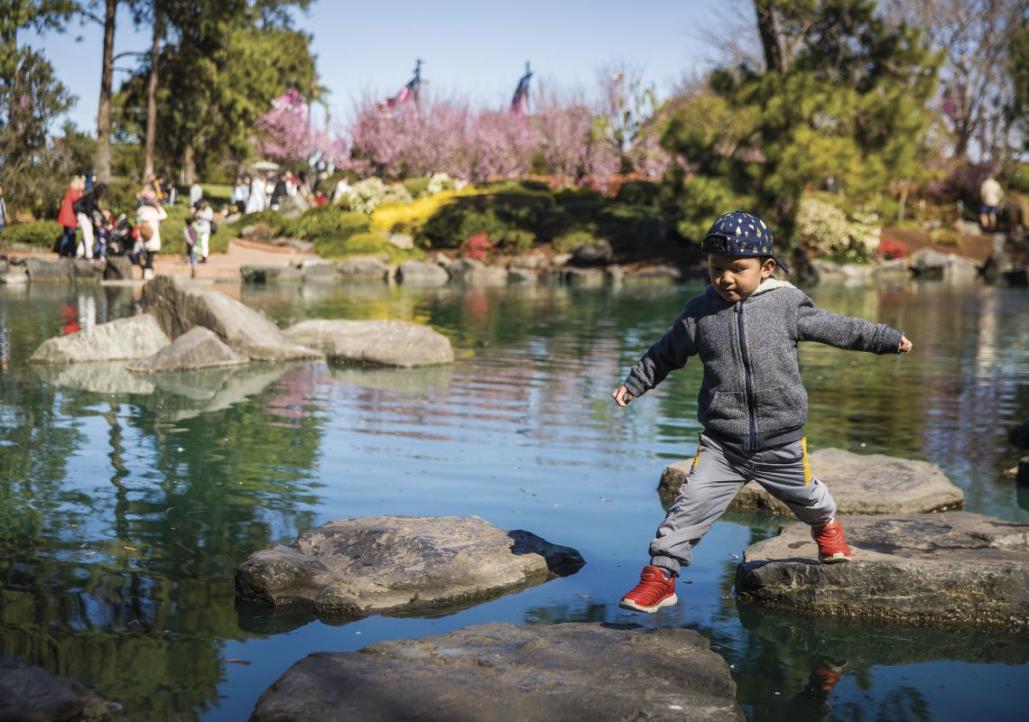 Cherry Blossom Festival - Auburn Botanic Gardens