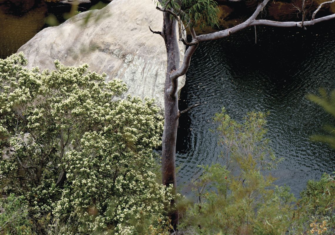 Jelly Bean Pool Glenbrook Blue Mountains National Park