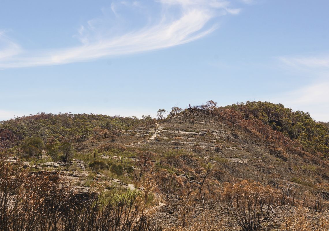 Rigby Hill Lookout Blue Mountains National Park
