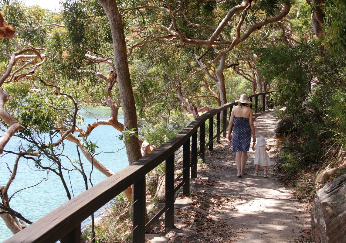 Bradleys Head and Chowder Head walking track to Chowder Bay Bradleys Head and Chowder Head walking track to Chowder Bay, Sydney Harbour National Park foreshore. Sydney red gums or Smooth barked apple tree Angophora costata, native Australian plant