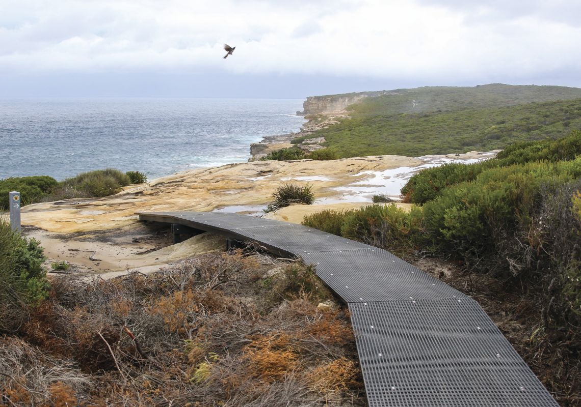 Bundeena to Wedding Cake Rock Bundeena to Wedding Cake Rock