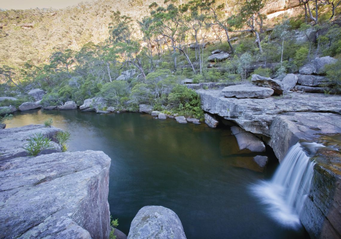 Jingga walking track, Dharawal National Park Jingga walking track, Dharawal National Park