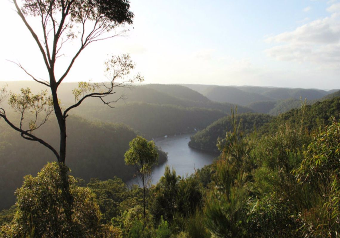 Berowra Valley National Park