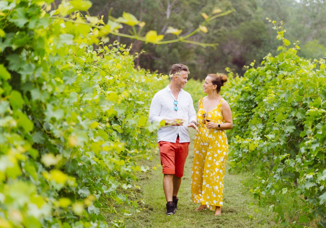 Jubilee Vineyard - Ebenezer Jubilee Vineyard - Ebenezer