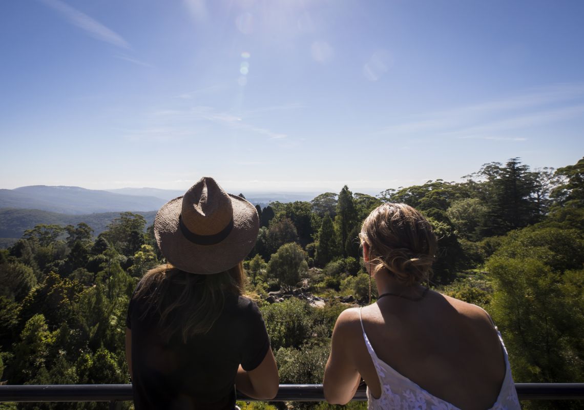 Blue Mountains Botanic Garden in Mount Tomah. Image Credit: DNSW Blue Mountains Botanic Garden in Mount Tomah