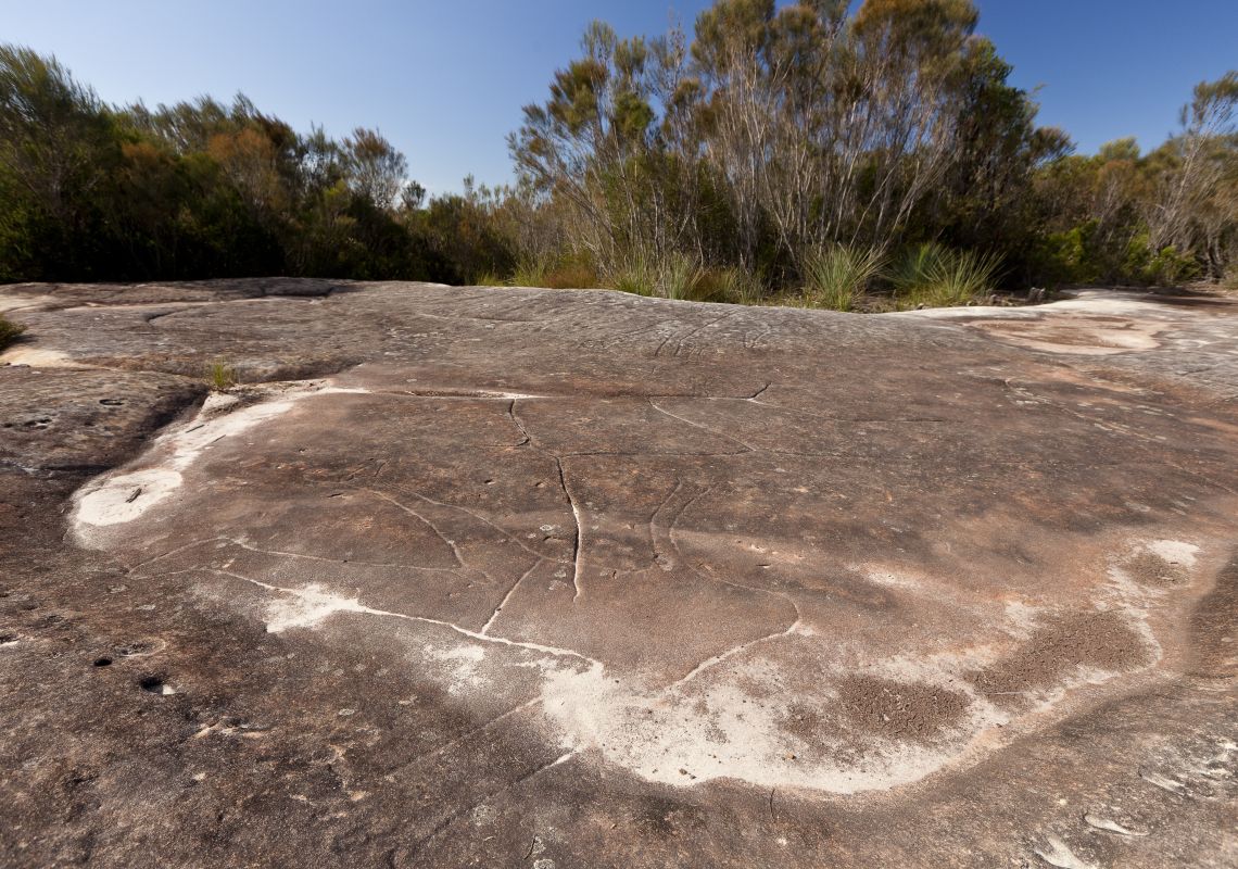 Guringai Aboriginal art at West Head, Ku-Ring-Gai National Park, Sydney
