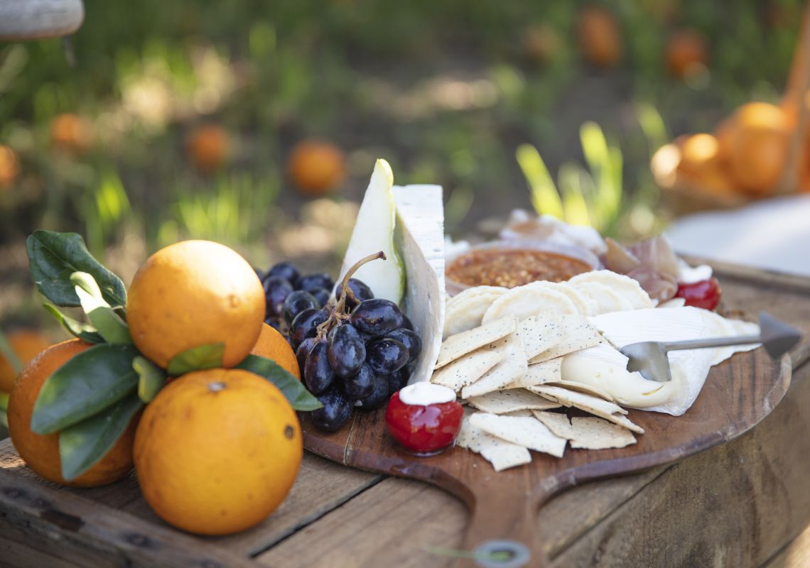 Fruit and cheese platter at a picnic in a Cornwallis orchard, Hawkesbury