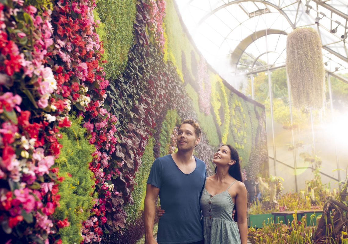 Couple enjoying a walk through The Calyx in The Royal Botanic Garden Sydney.